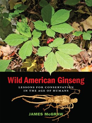 cover image of Wild American Ginseng